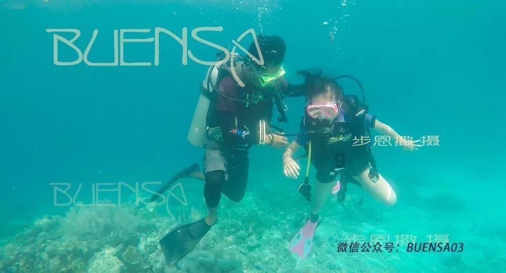 bt种子 磁力搜索